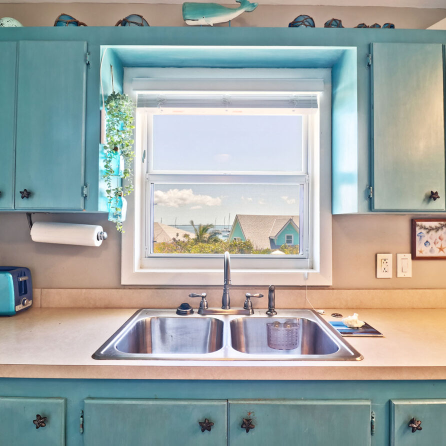Dreamkeeper - Views From Kitchen