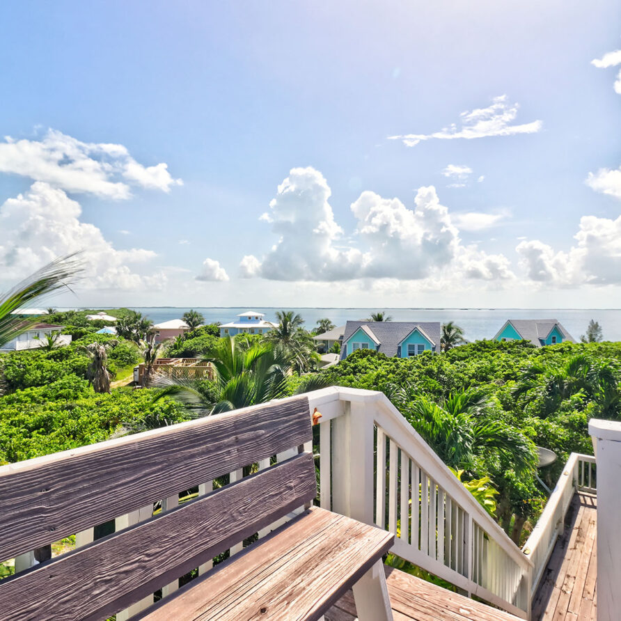 Lil Gecko - View From Lookout