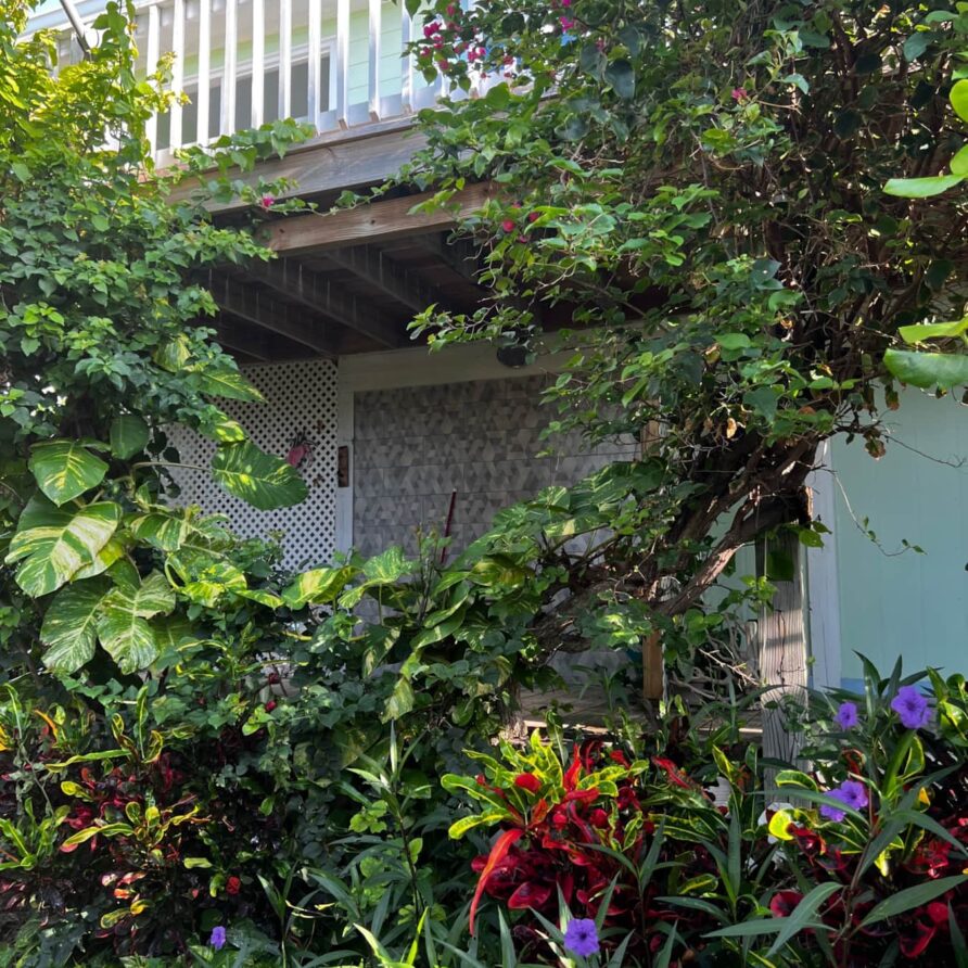 Lil Gecko - Landscaping