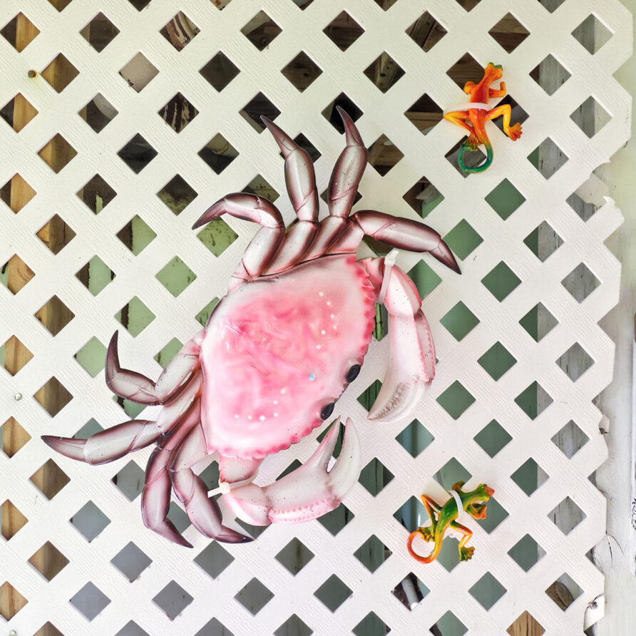 Lil Gecko - Decorative Artwork