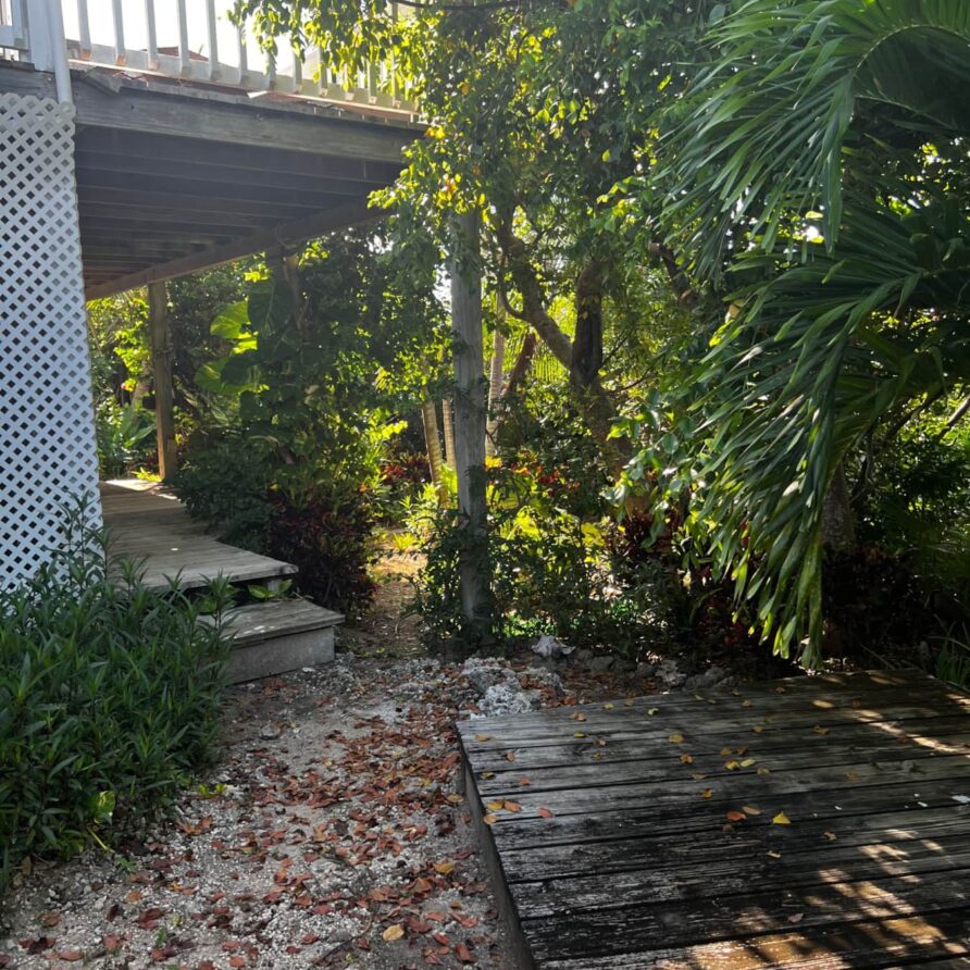 Lil Gecko - Landscaping 7
