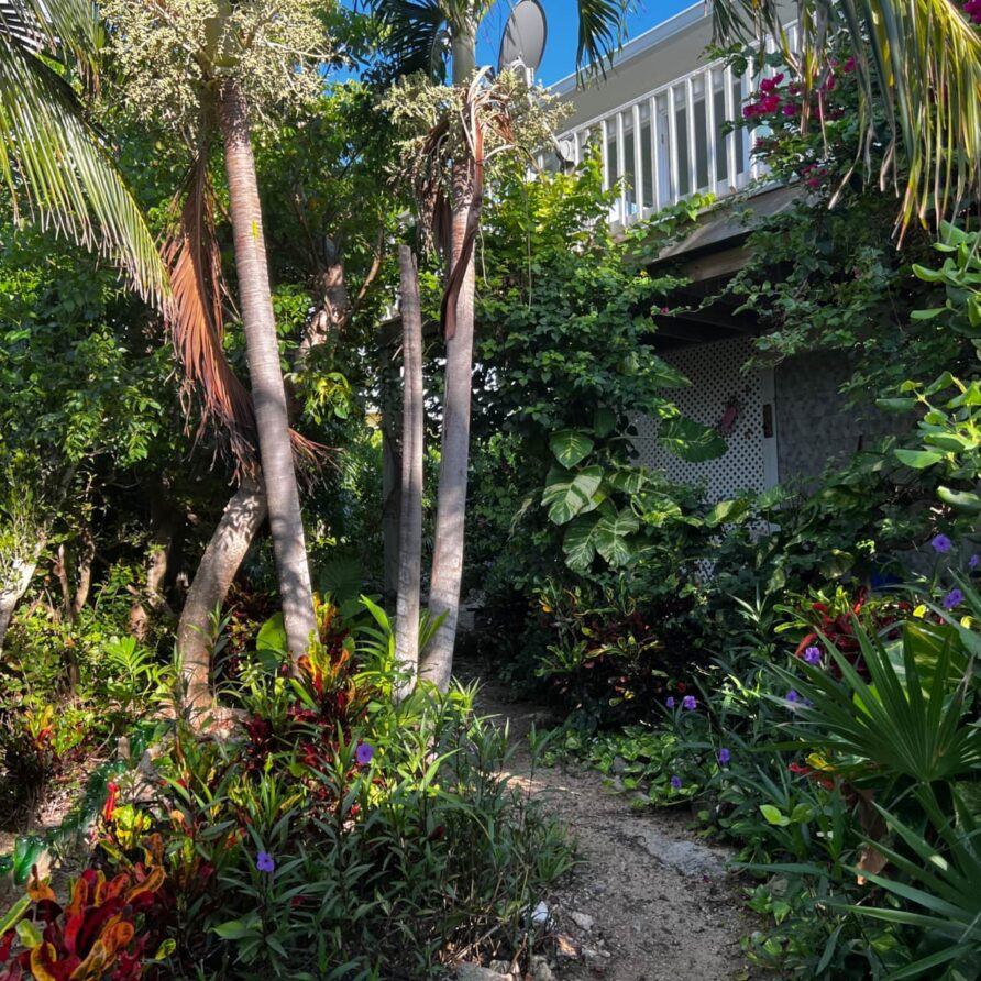 Lil Gecko - Landscaping 8