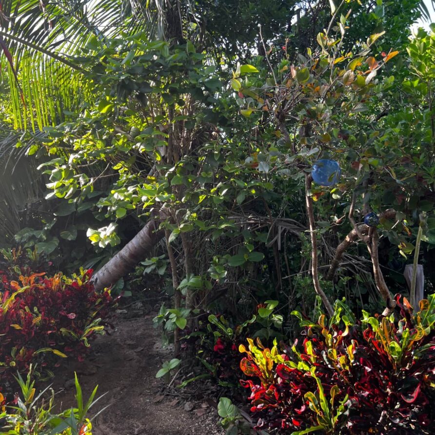 Lil Gecko - Landscaping 10