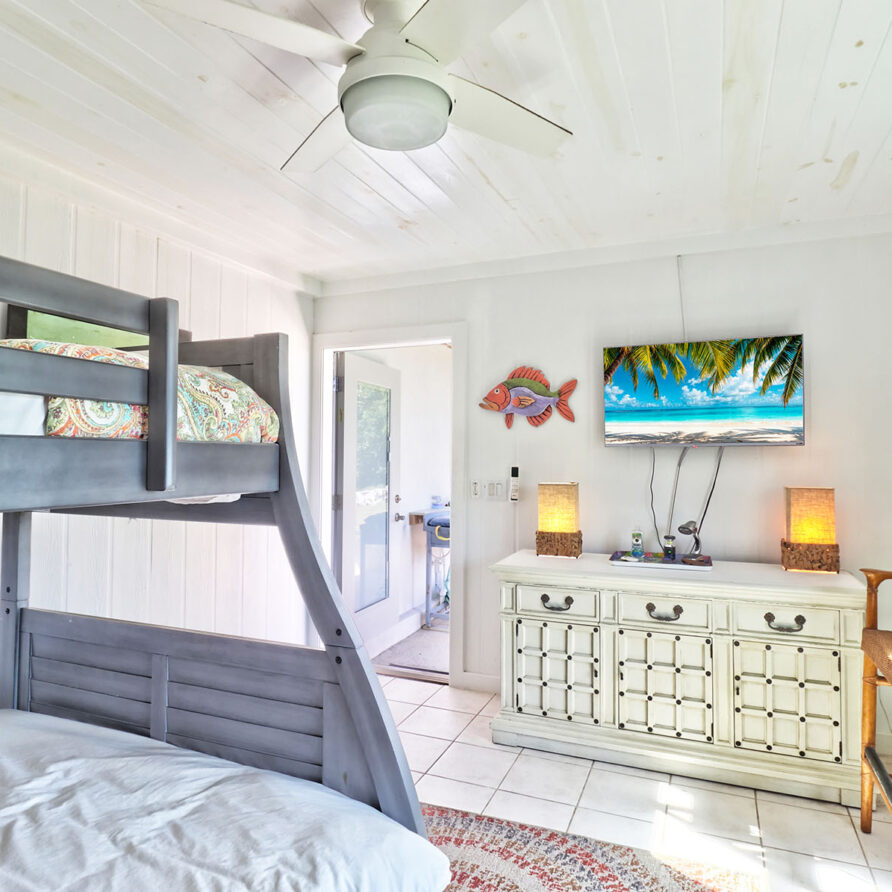 Black Tip Cove - Lower Level Bedroom - 3